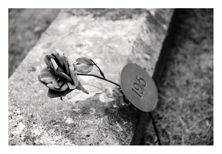 Tomb Rider wasn't here