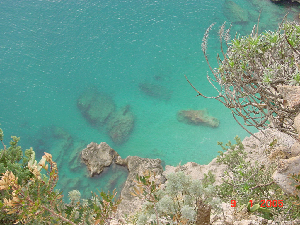 Capri - piccola radura