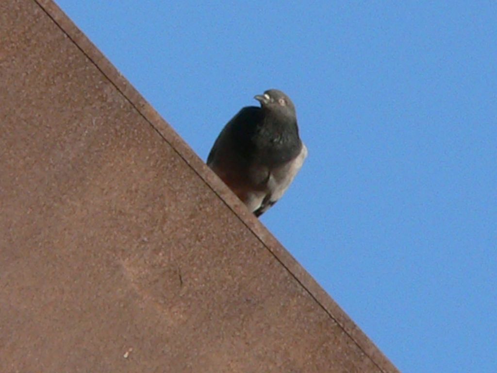 dettaglio del fiammifero...