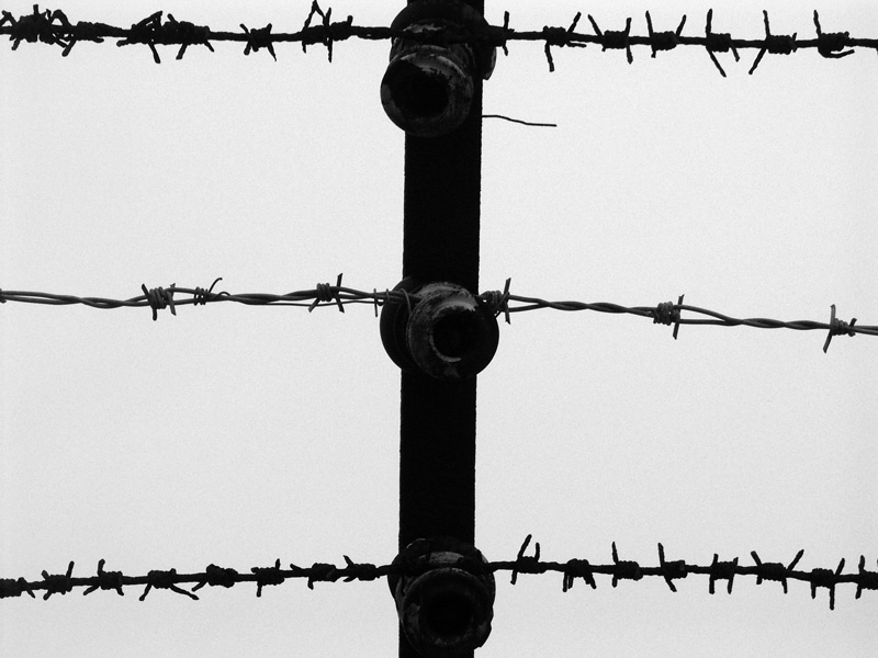 Mauthausen.... per non dimenticare