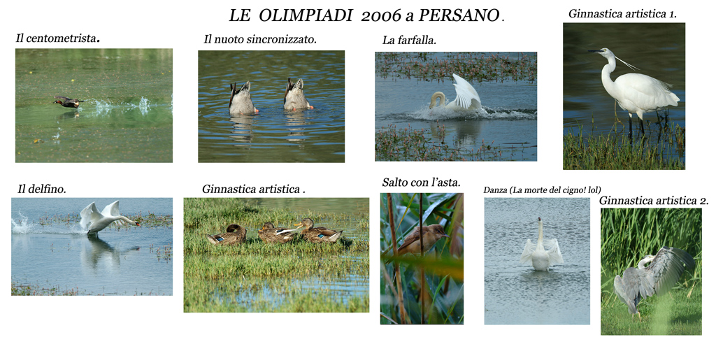 Le Olimpiadi