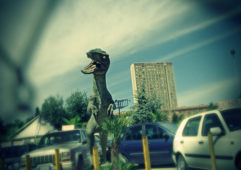 Raptor !