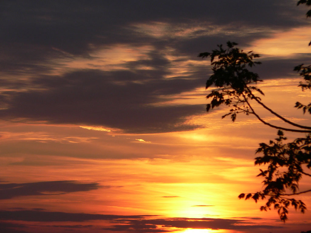 Tramonto dietro casa