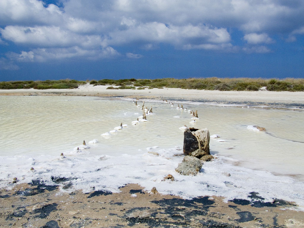 Sardegna 2006....... Salina