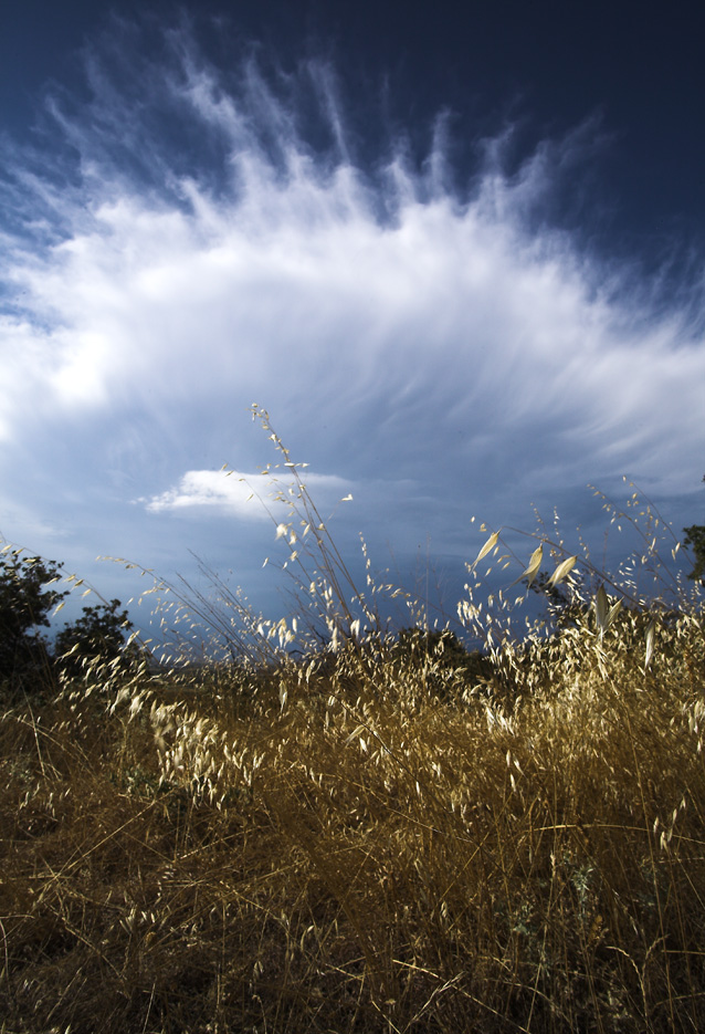 tra i miei campi il cielo