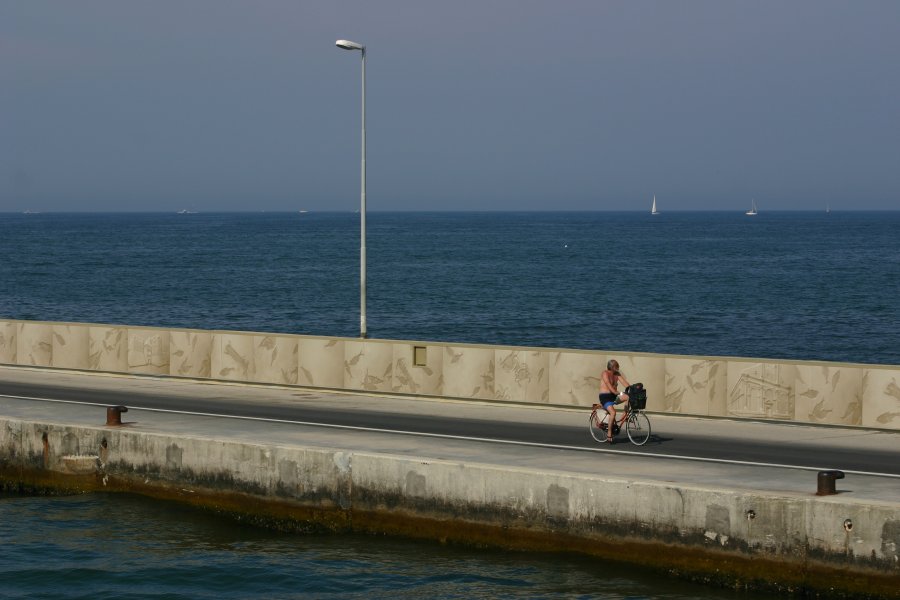 Passeggiando in Bicicletta in mezzo al mare