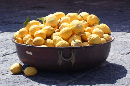 I Limoni di Ischia