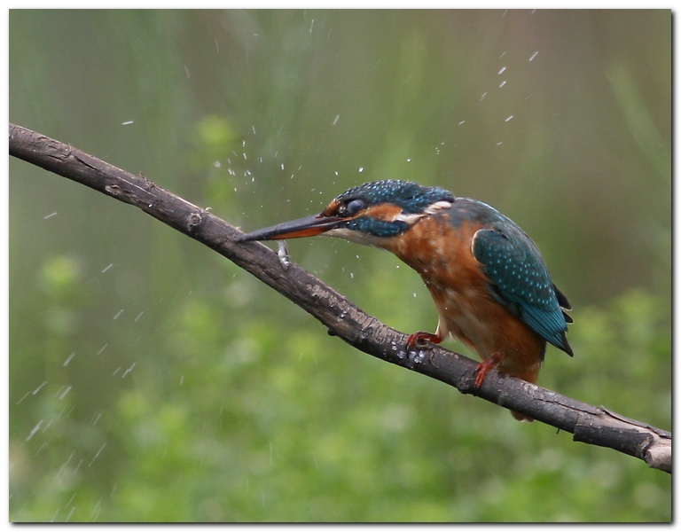 Die Hard - Duro a Morire