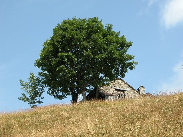 I colori della montagna
