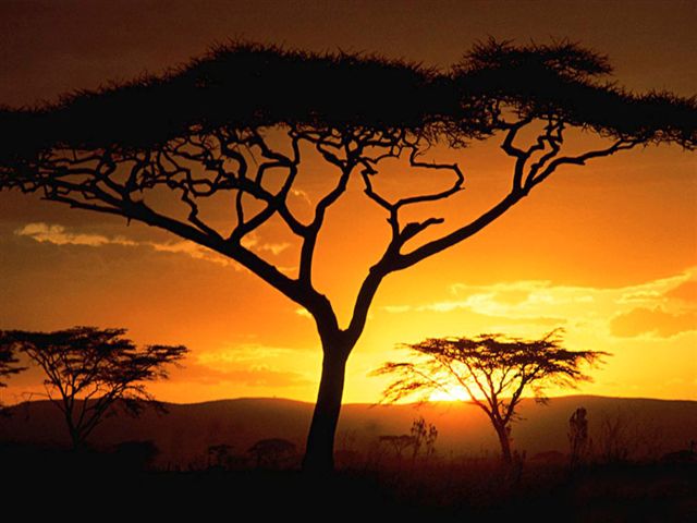 tramonto in kenya