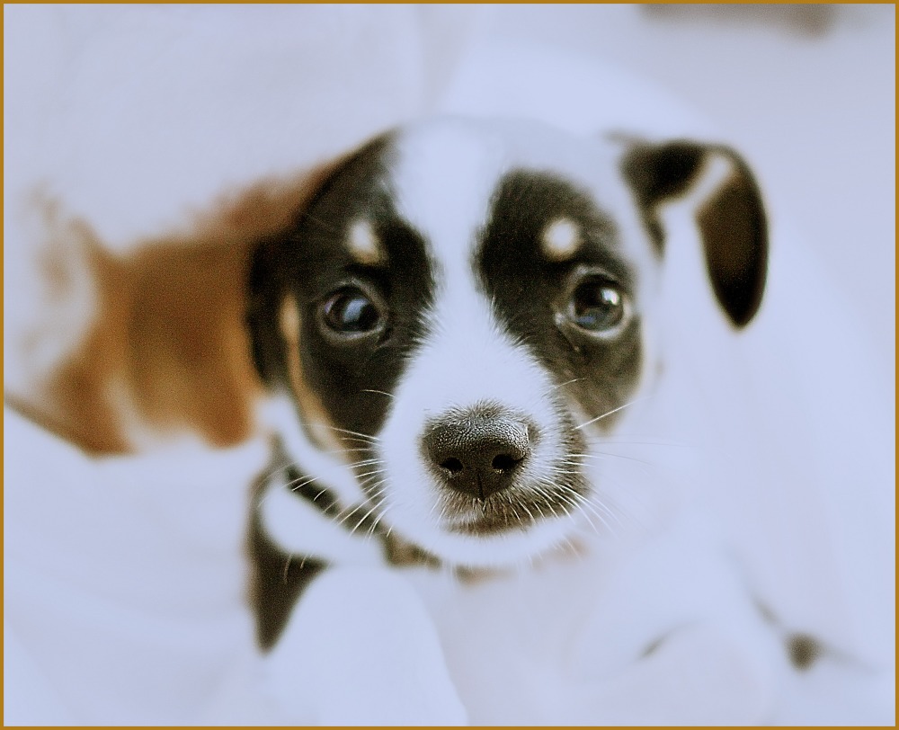 Ritratto di Ari HI-Key