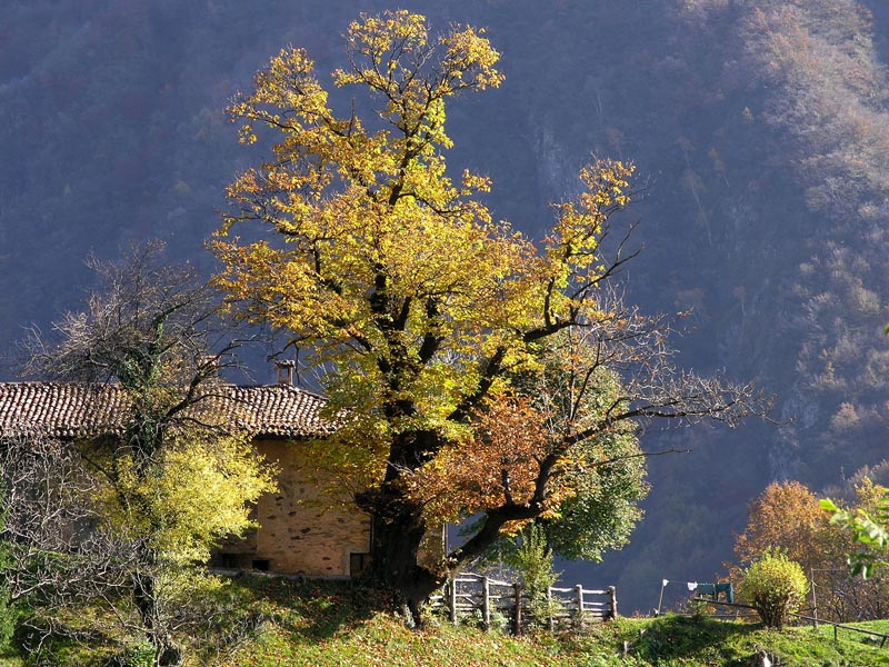 Autunno in Valsassina