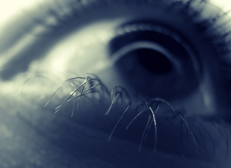 Esperimenti di una neofita