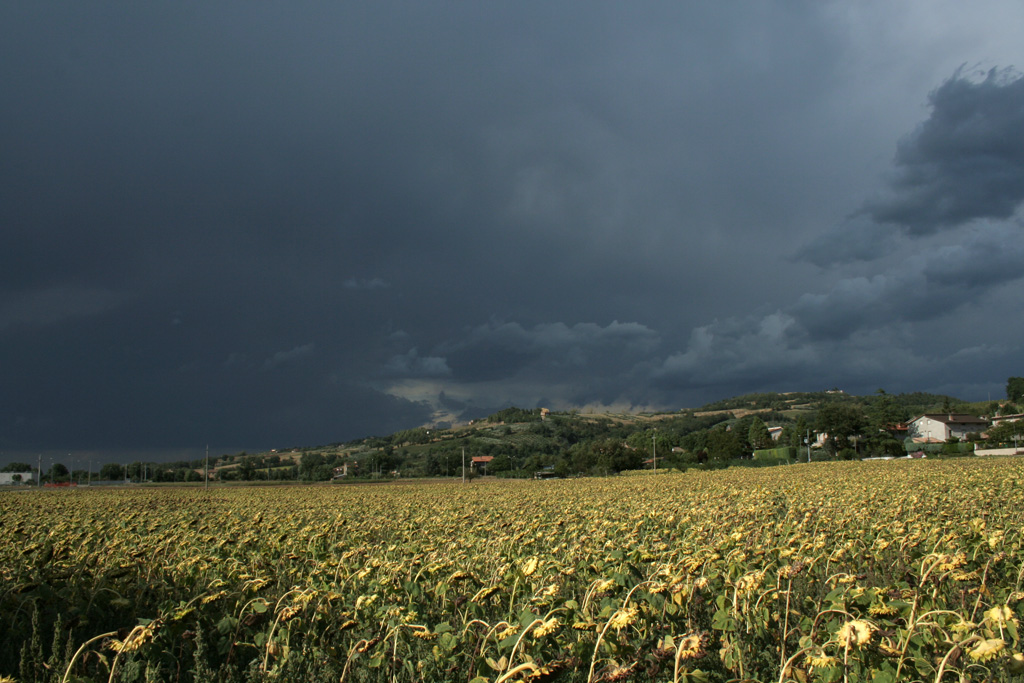 Prima della tempesta