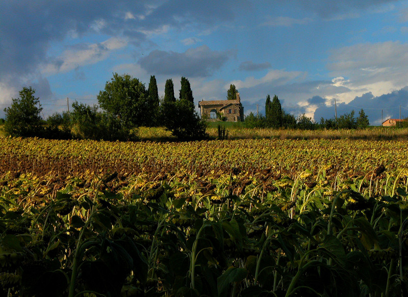 Paesaggio umbro!