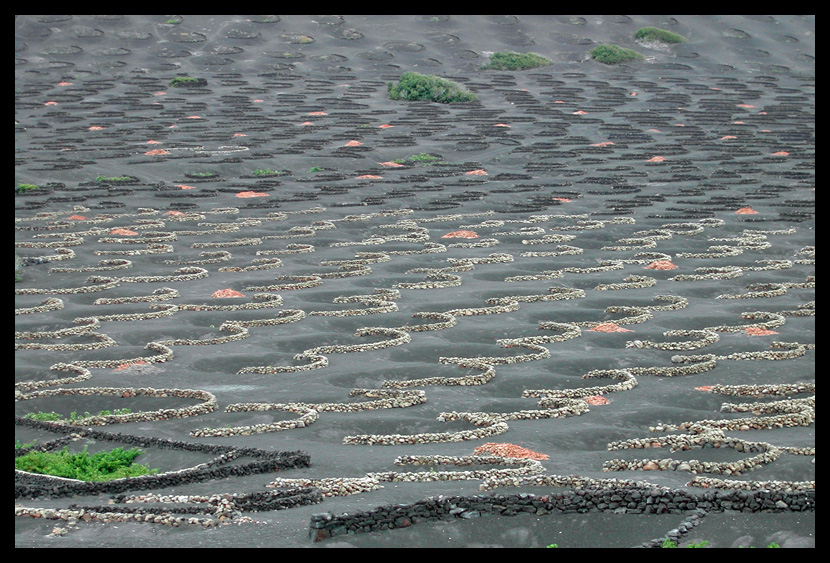 La Geria (Lanzarote)