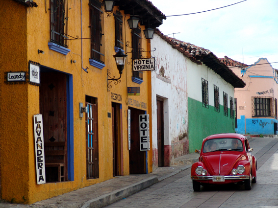 maggiolino messicano