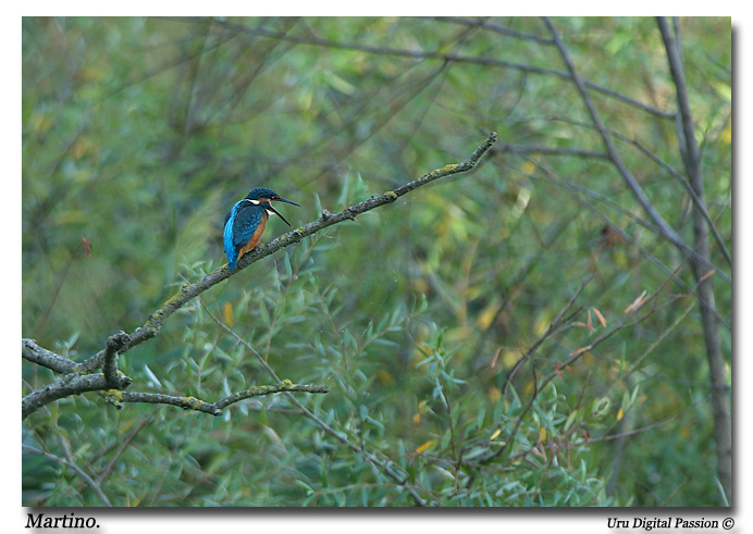 "Rieccolo, ancora qui...