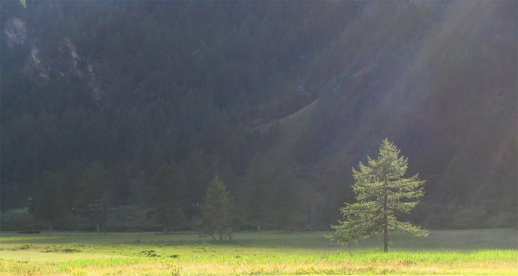 Alpe Devero - "Ho visto la luce"