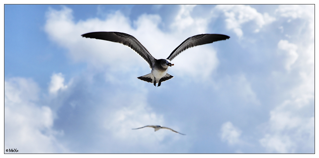 Direzioni Divergenti