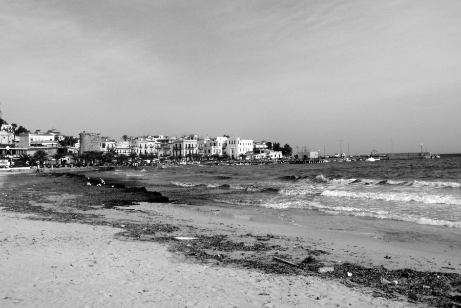 Il mare si ripulisce ...