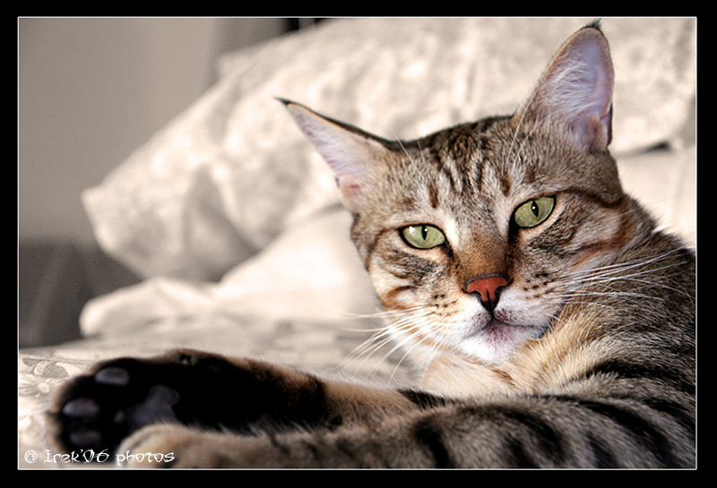 dormo sul letto..e allora?!