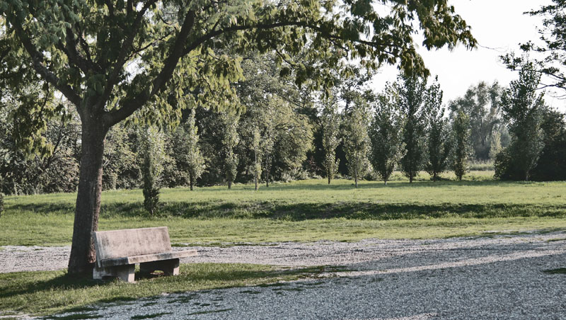 cimitero54
