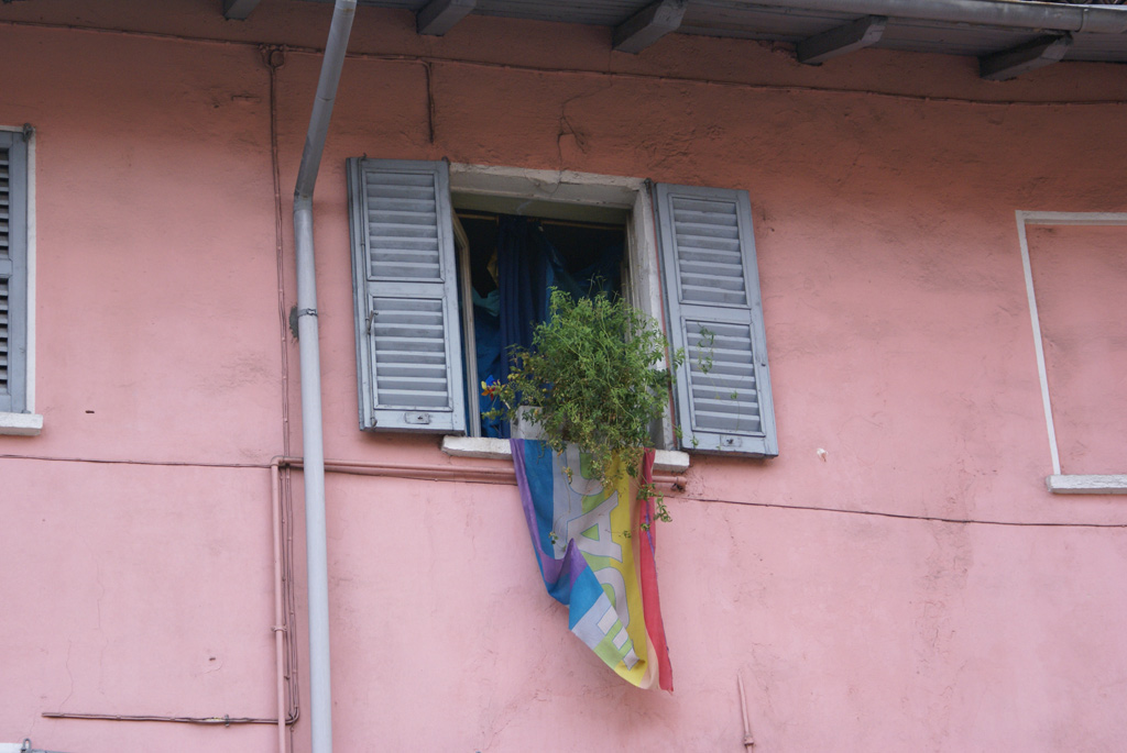 verde speranza di pace