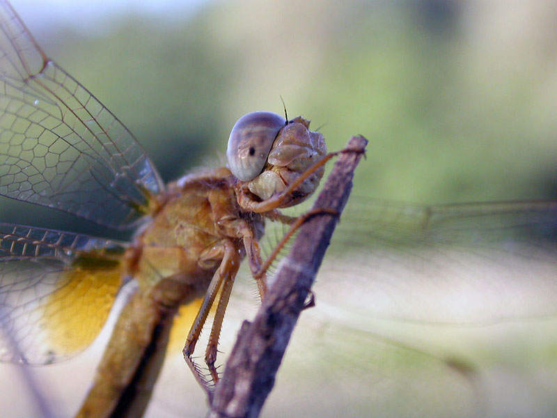 finalmente ...ma che fatica