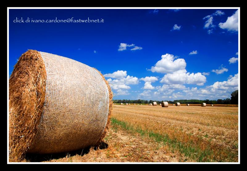 Balle di fieno 1