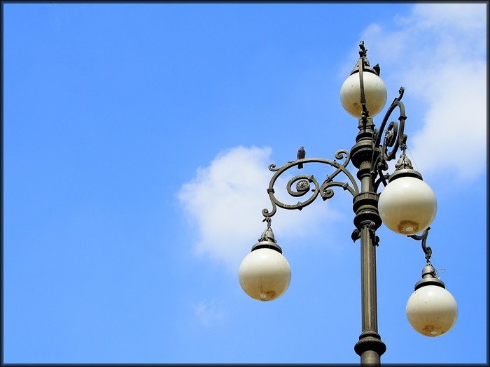 Alzando la testa...il lampione