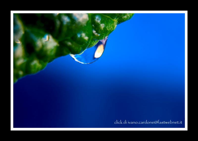 Eos 300D Canon 35/70 3,5-5,6 + 3 tubi Kenko