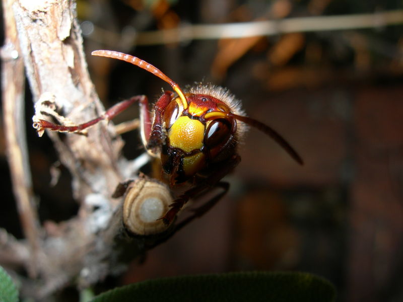 Se potessi prenderti...