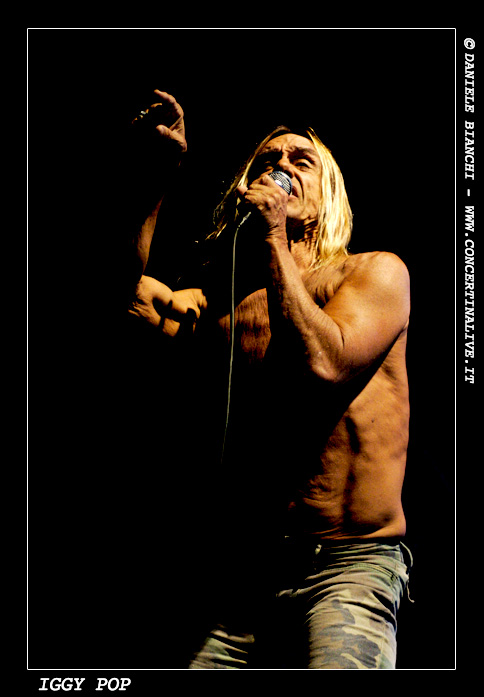 Iggy Pop