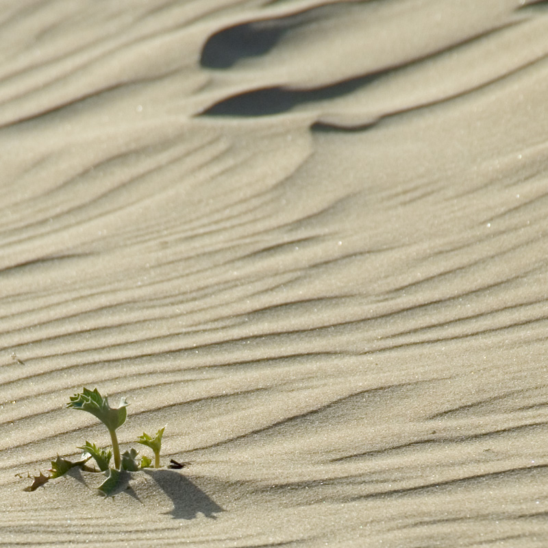 una sola goccia d'acqua