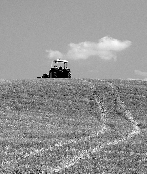 In cima.....il Trattore!