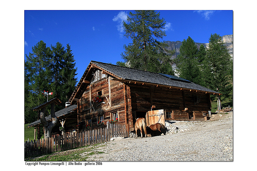 lontano dalle citt�