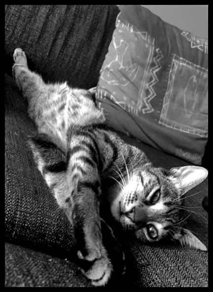 non sto dormendo..sto pensando...