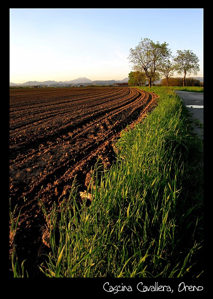 Cascina Cavallera, Oreno