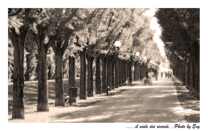 Il viale dei ricordi