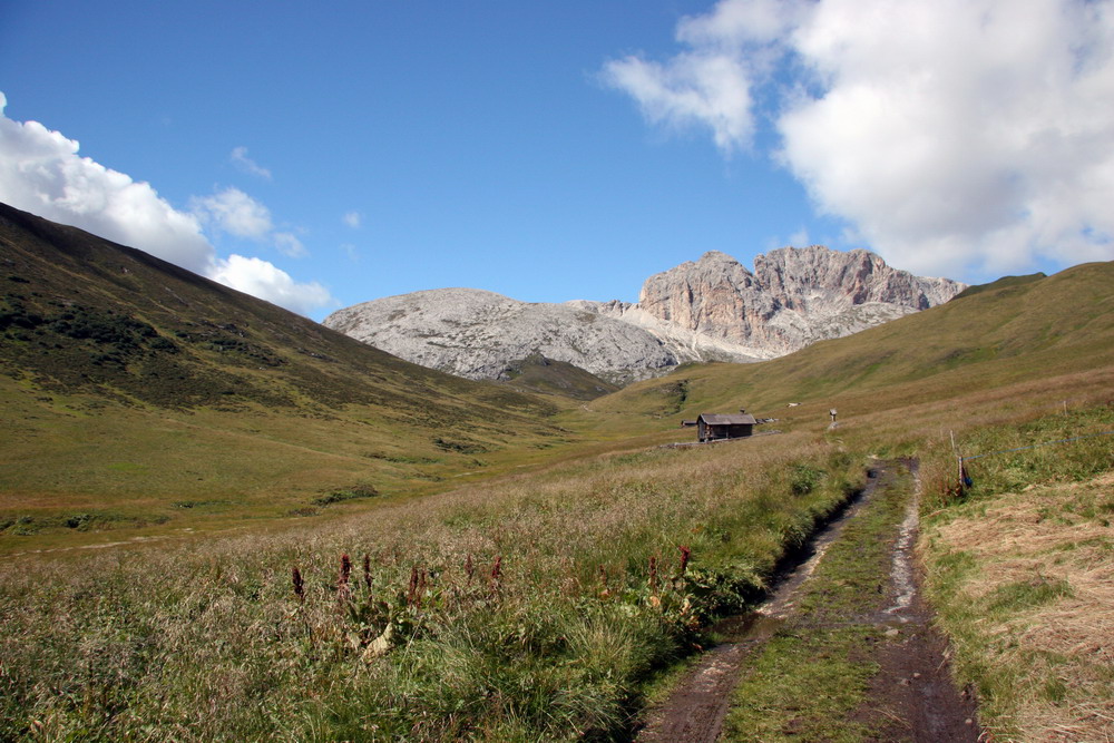 Sentierio di montagna
