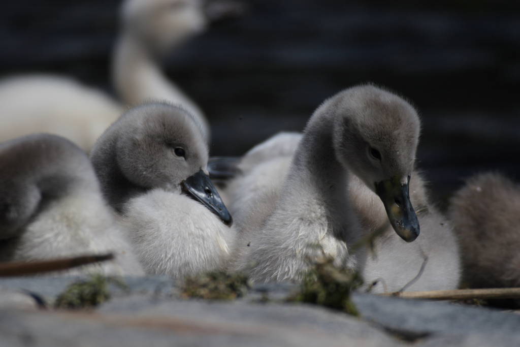 ......e ora un po' di riposo