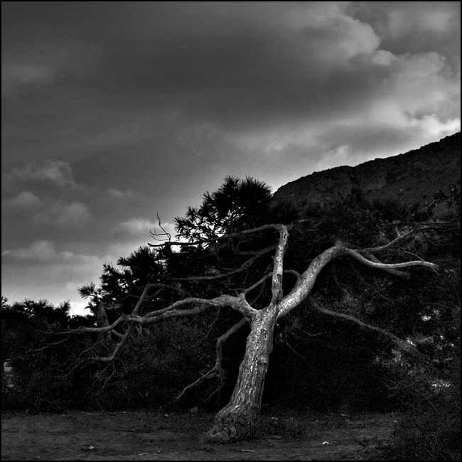 Disegnato dal vento I