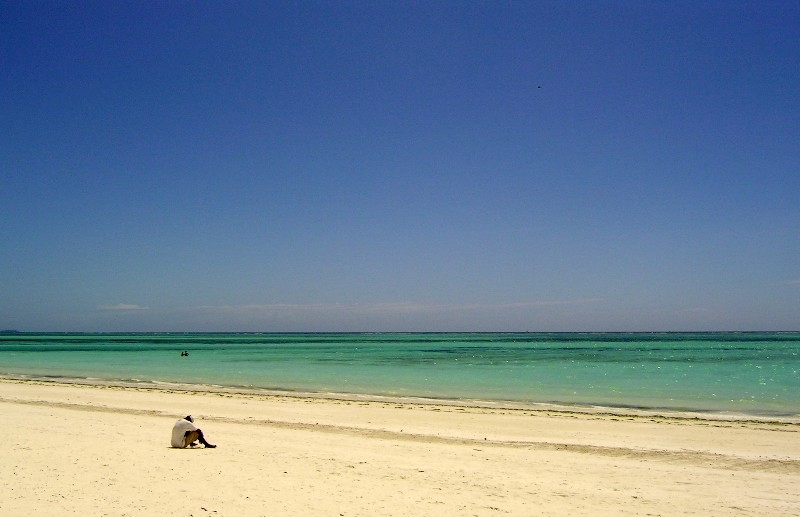 Solitario sulla spiaggia