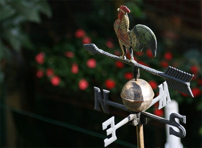 North, East, South, M...  M???