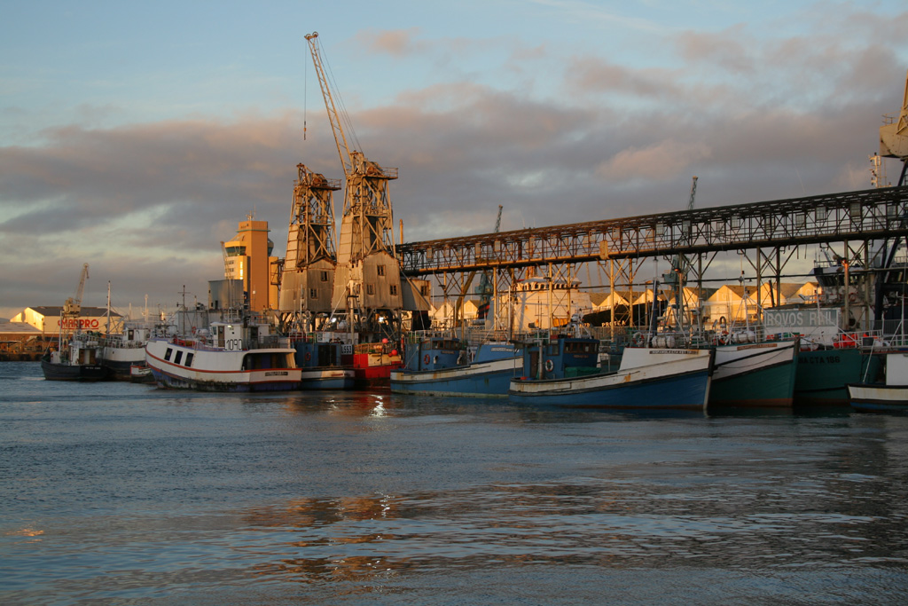 Cape town, il porto