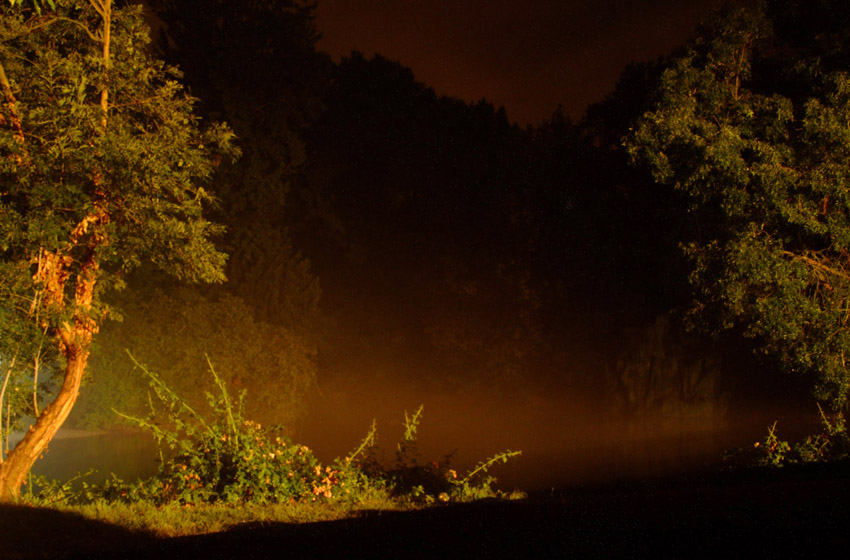 Le nebbie del stella