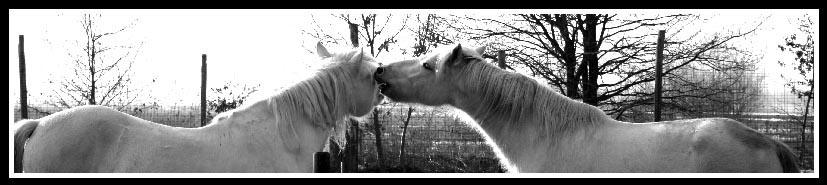 ti dico un segreto.....