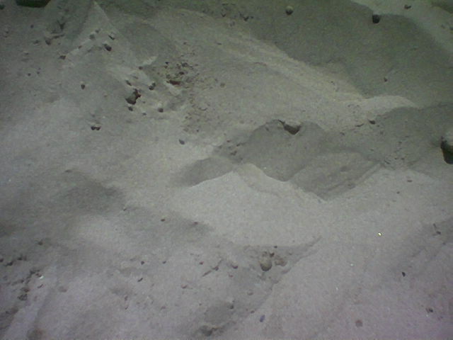 foto fatte con nokia 3650