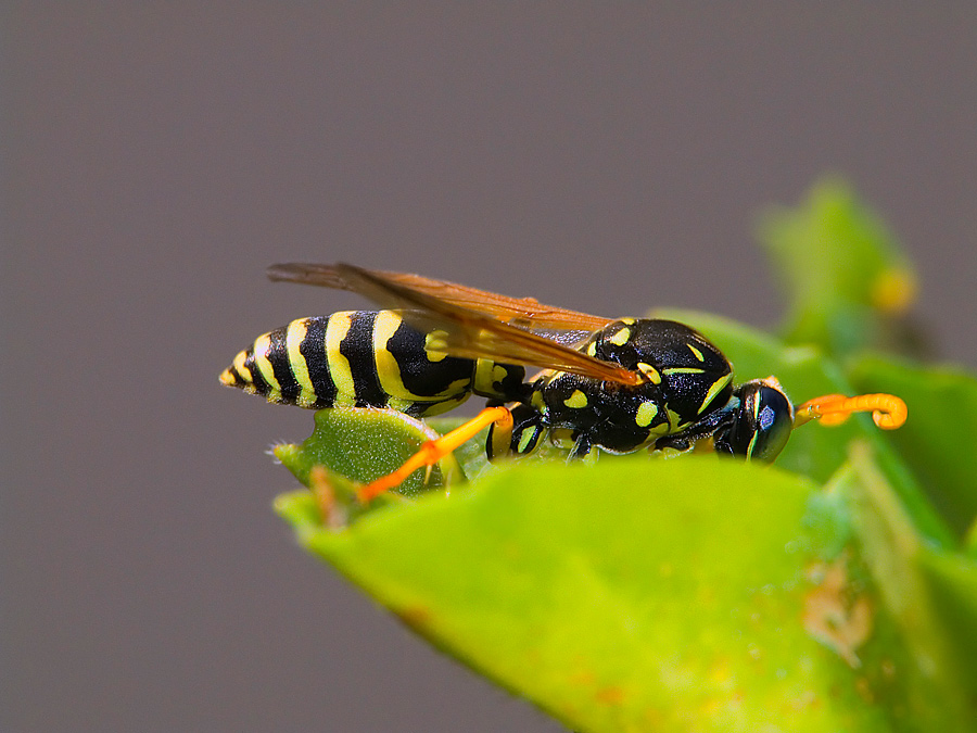 E m� me copro! ( scusate i titoli scemi ma sono all'inizio :D )